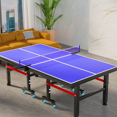 Ping Pong Table